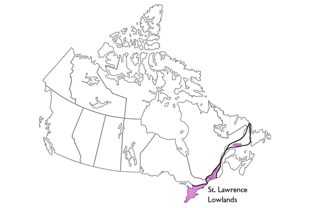 St. Lawrence Lowlands