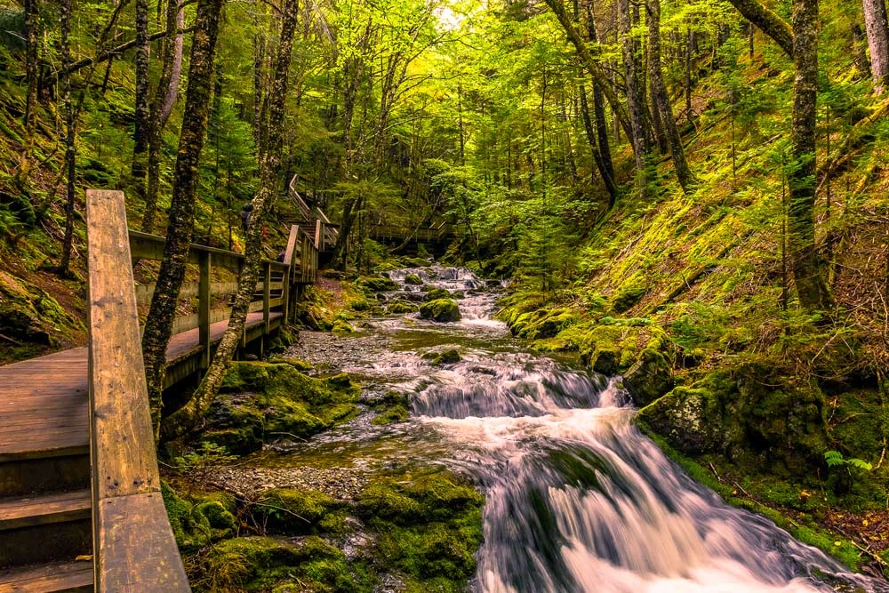 Fundy National Park