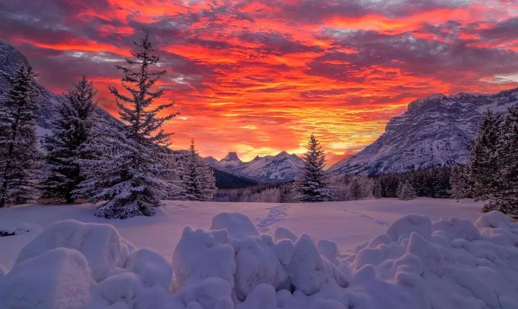 Alberta, Canadian snow and sunset